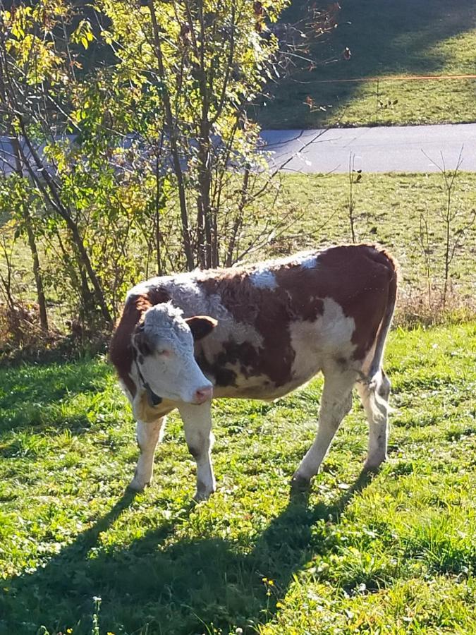 Casa Vacanza Da Ghislin Teglio Luaran gambar