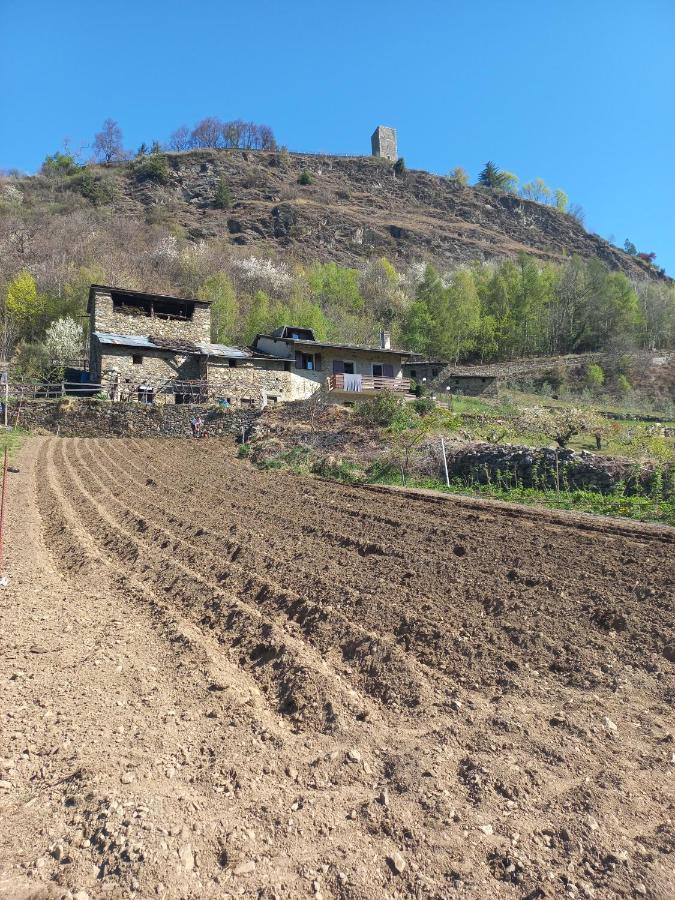 Casa Vacanza Da Ghislin Teglio Luaran gambar