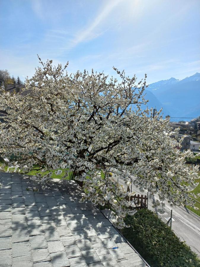 Casa Vacanza Da Ghislin Teglio Luaran gambar